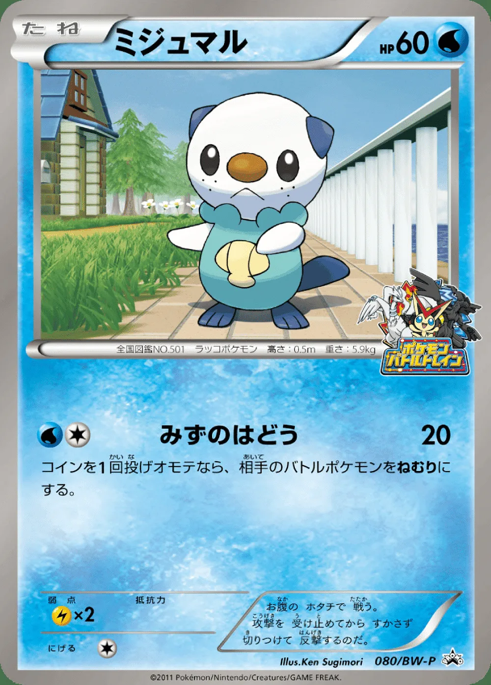 Oshawott — Black & White Promos (JP) #80