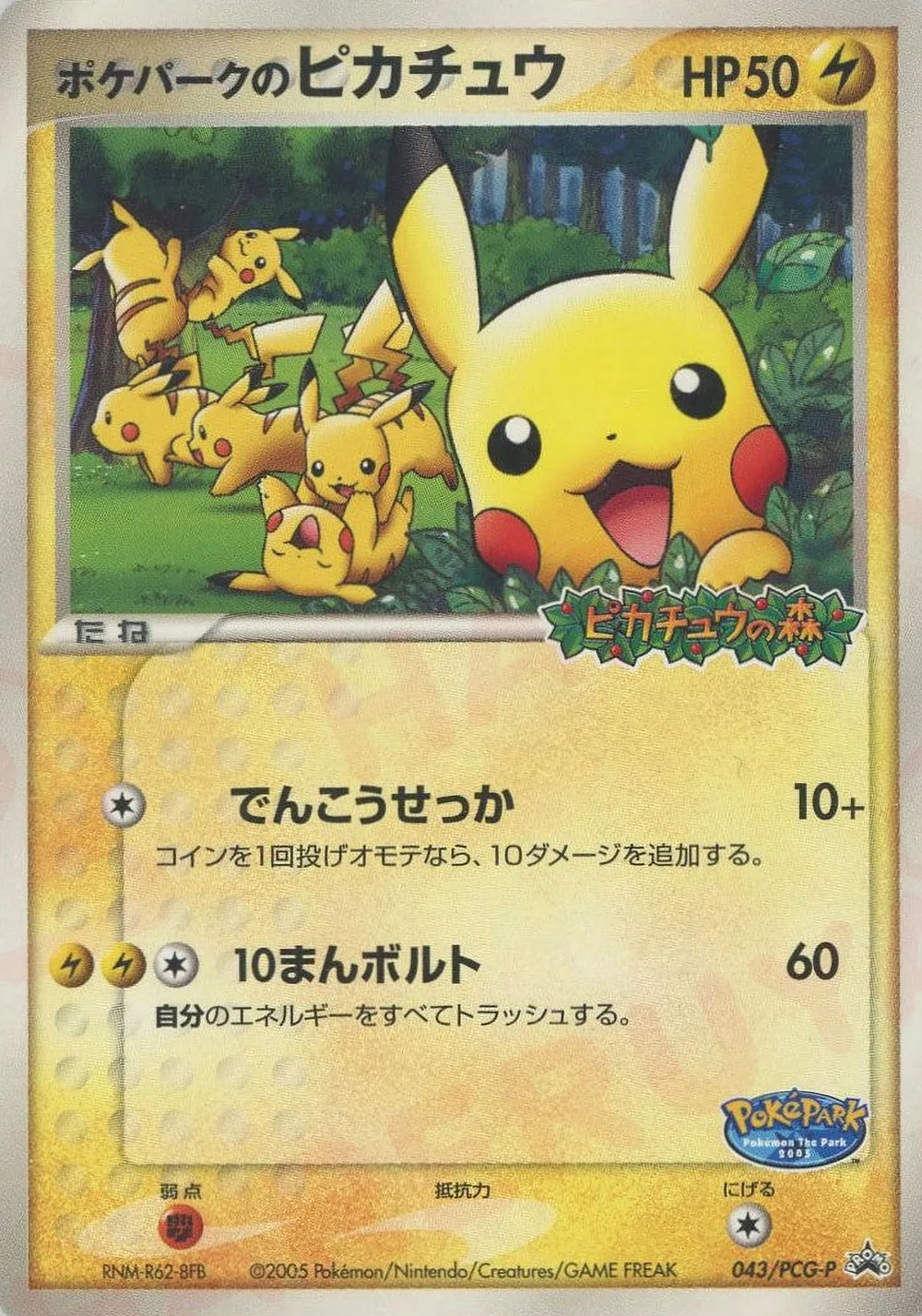 PokéPark's Pikachu — PCG Promos (JP) #43